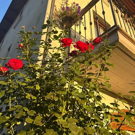 Dulcamara Bed & Breakfast Pescasseroli